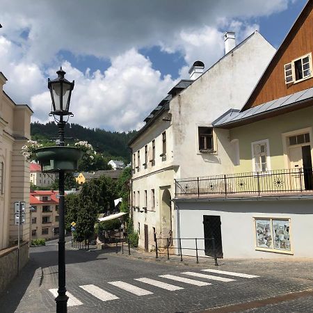 Apartman Vila Rosenberg Banská Štiavnica Eksteriør billede